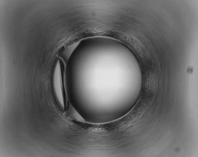 X0000098200689200805011147