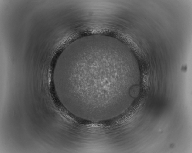 X0000098200691200805011147