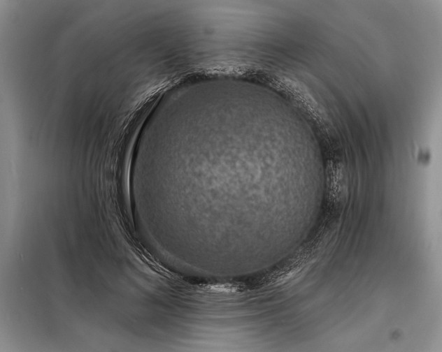 X0000098200692200805011147