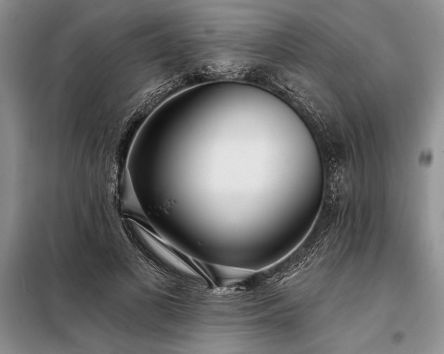 X0000098200693200805011147
