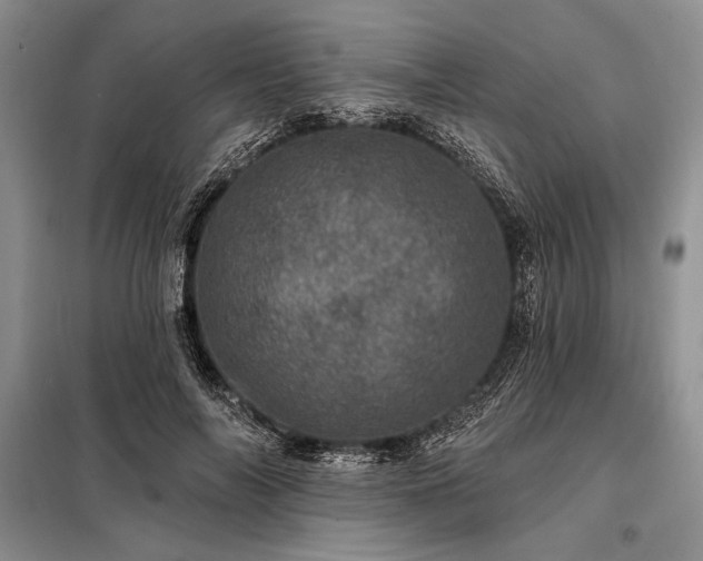X0000098200694200805011147