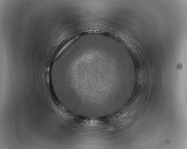 X0000098200695200805011147