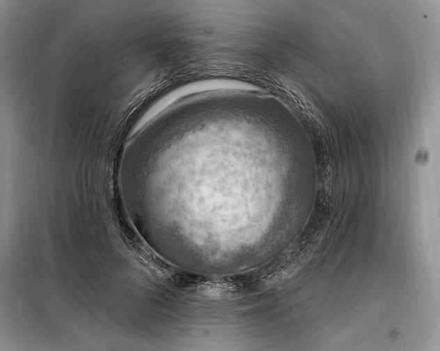 X0000098200696200805011147