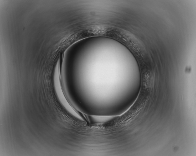 X0000098200697200805011147
