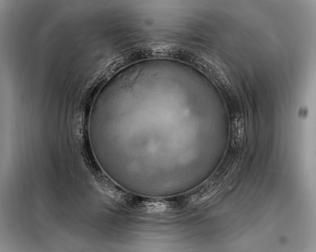 X0000098200698200805011147
