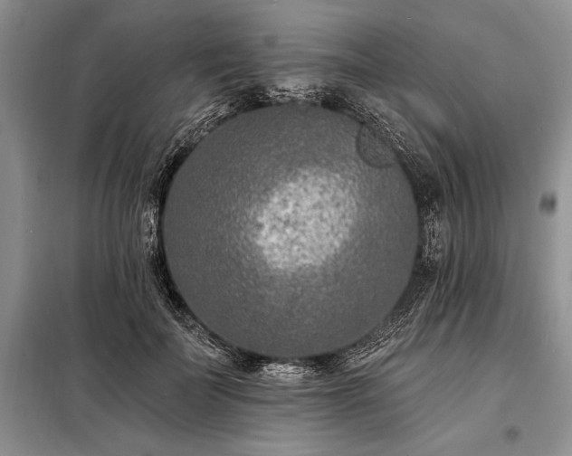 X0000098200699200805011147