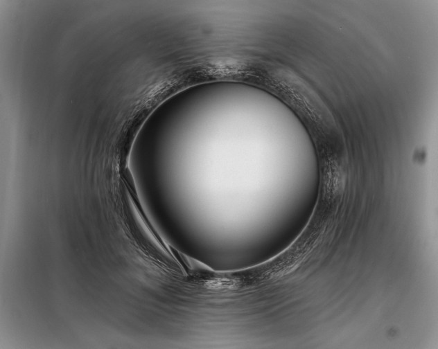 X0000098200700200805011147