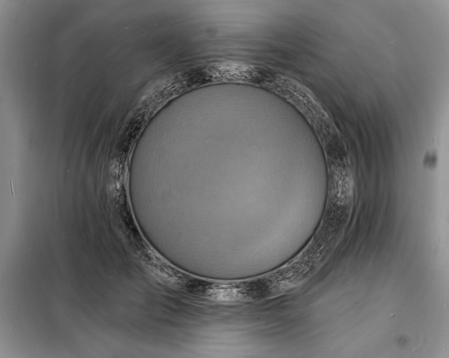 X0000098200701200805011147