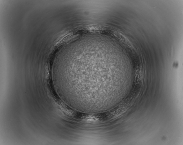 X0000098200702200805011147