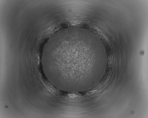 X0000098200703200805011147