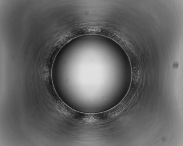 X0000098200704200805011147
