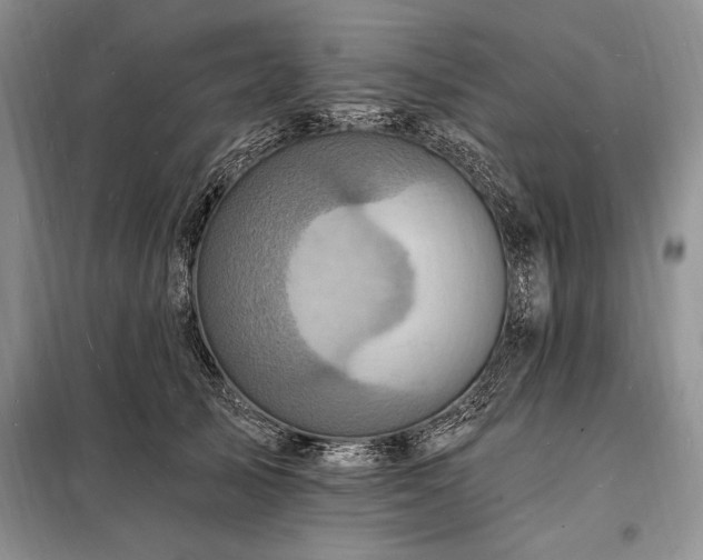 X0000098200705200805011147