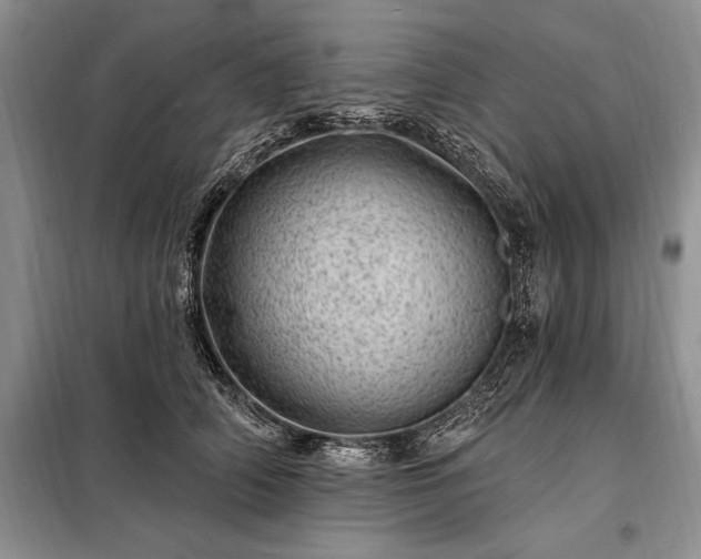 X0000098200706200805011147