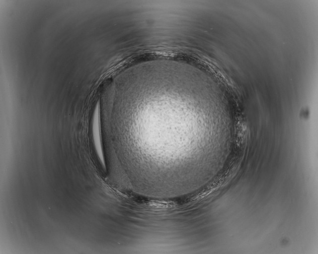 X0000098200707200805011147
