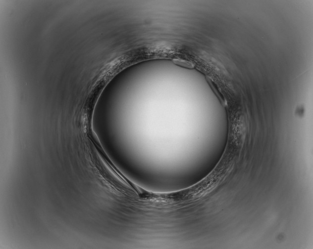 X0000098200708200805011147