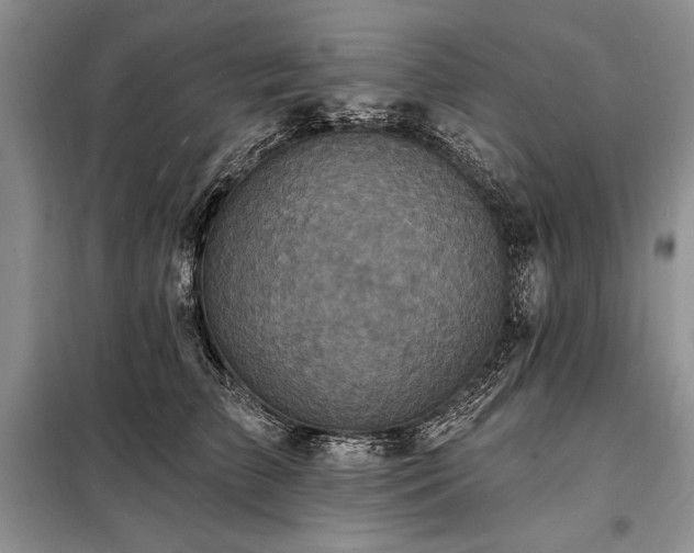 X0000098200709200805011147