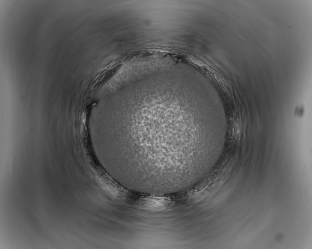 X0000098200711200805011147