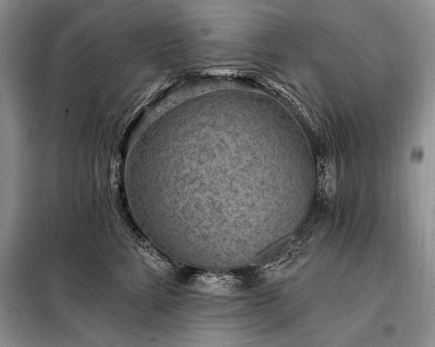 X0000098200712200805011147