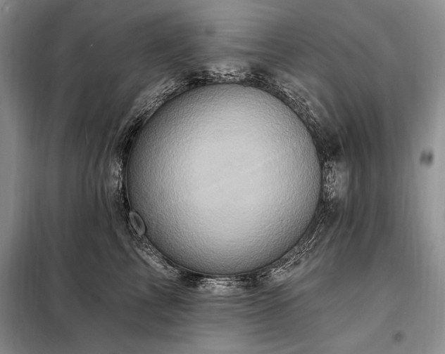 X0000098200713200805011147