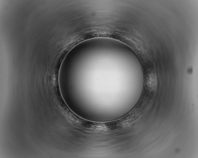 X0000098200715200805011147