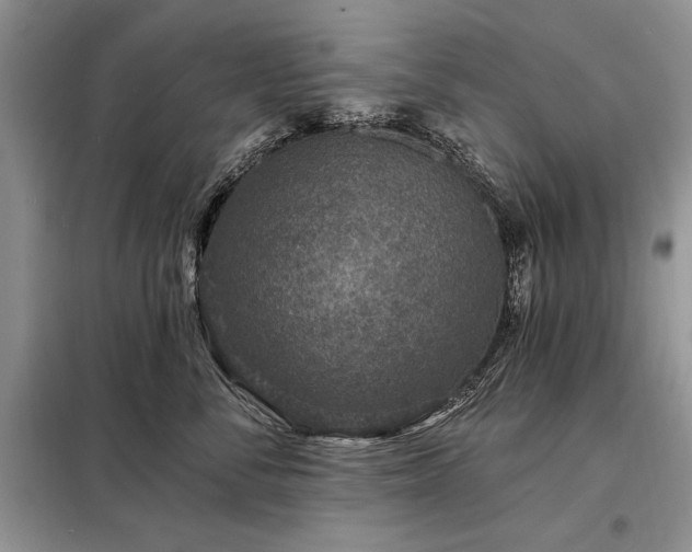 X0000098200716200805011147
