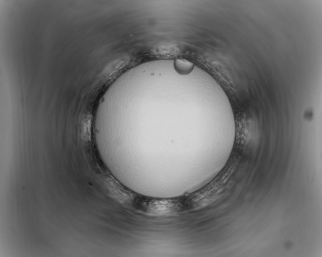 X0000098200717200805011147