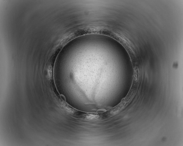 X0000098200718200805011147