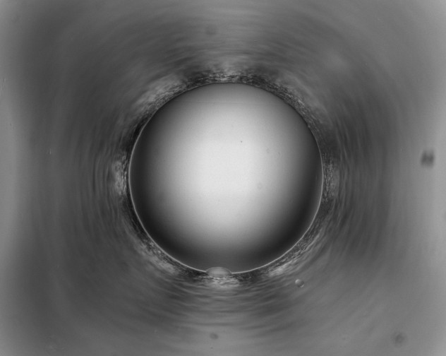 X0000098200719200805011146