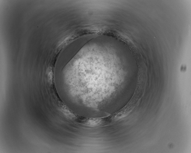X0000098200720200805011146