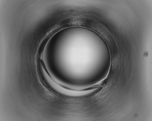 X0000098200722200805011146