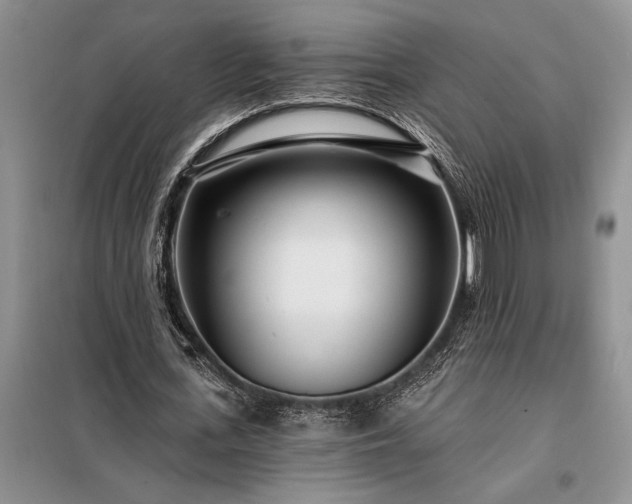 X0000098200723200805011146