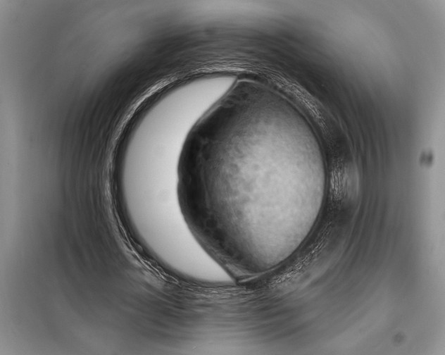X0000098200724200805011146