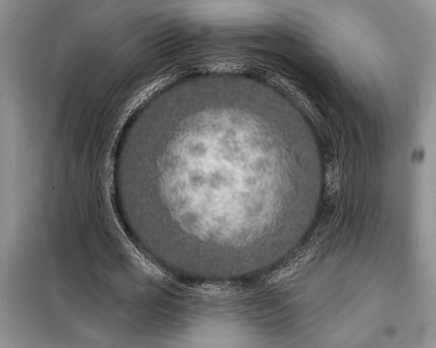X0000098200725200805011146