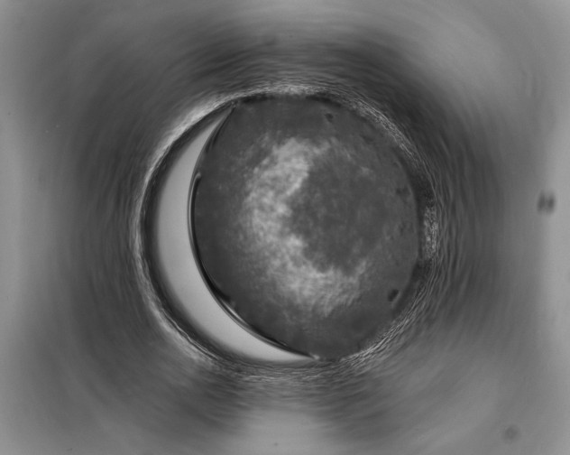 X0000098200726200805011146