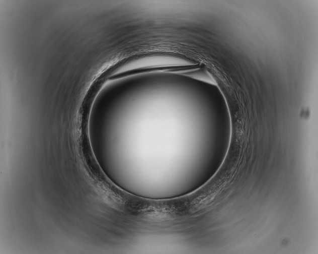 X0000098200727200805011146