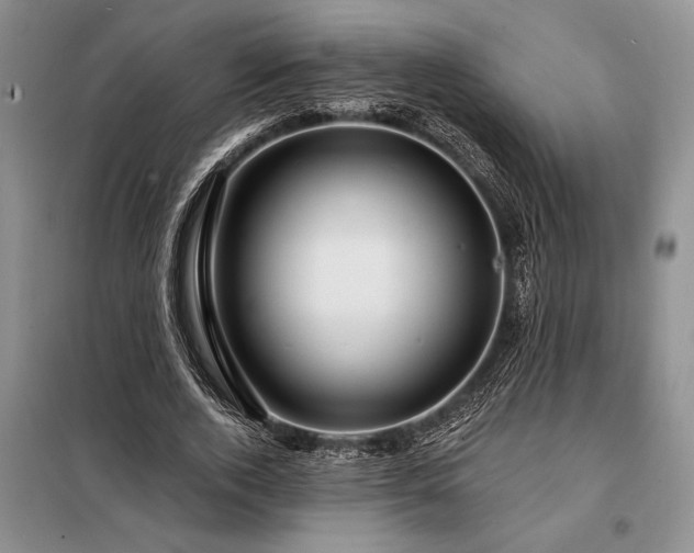 X0000098200728200805011146
