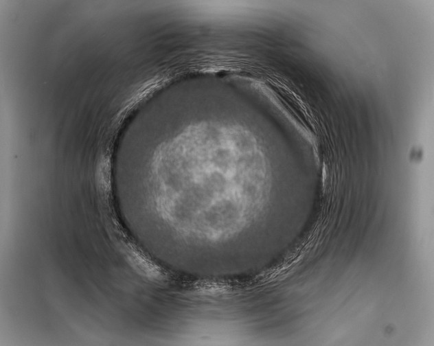X0000098200729200805011146