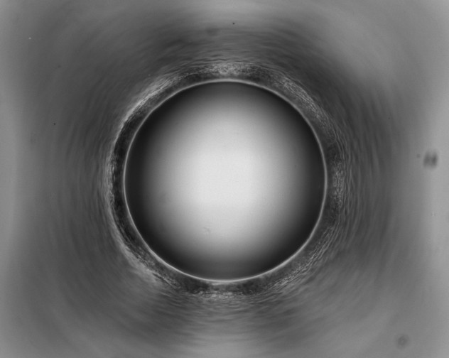 X0000098200730200805011146
