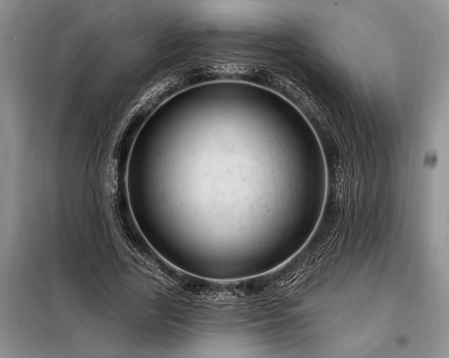 X0000098200731200805011146