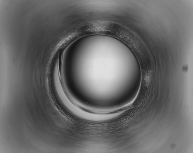 X0000098200732200805011146