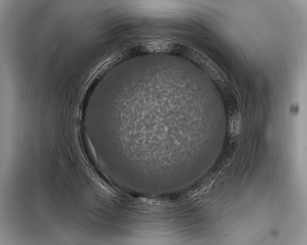X0000098200733200805011146