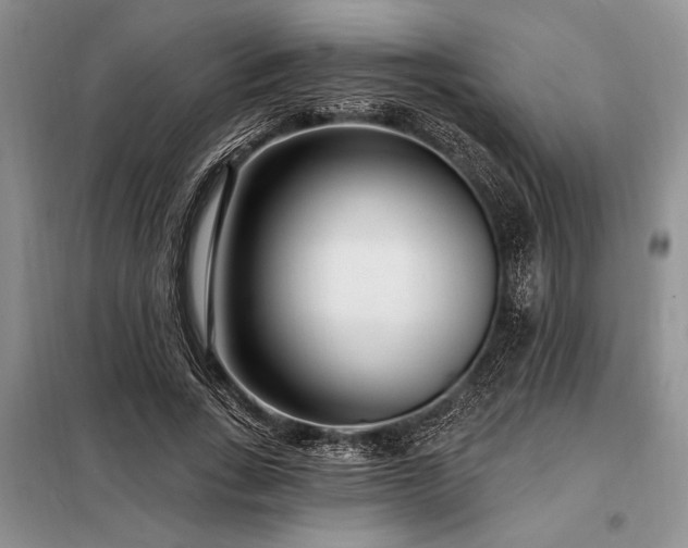 X0000098200735200805011146