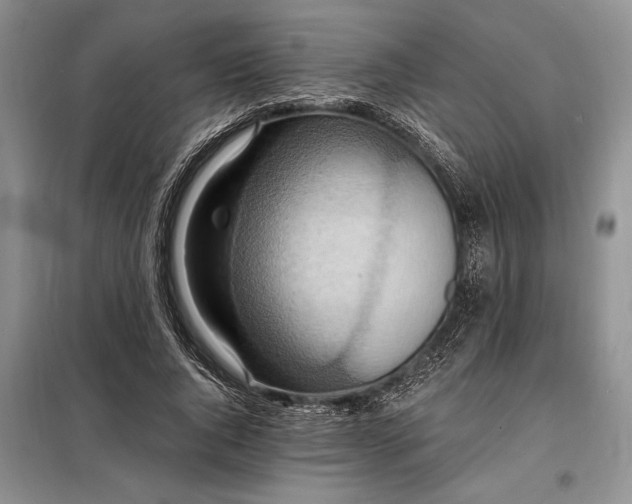 X0000098200736200805011146