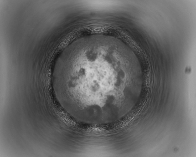 X0000098200737200805011146