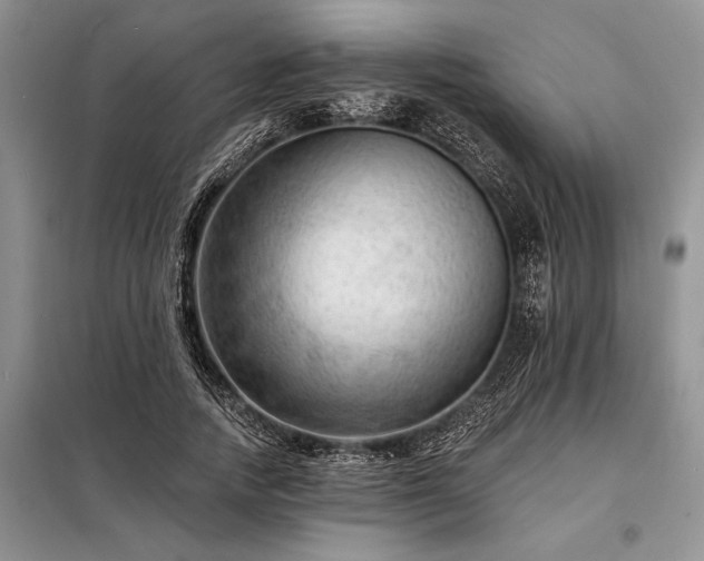 X0000098200738200805011146