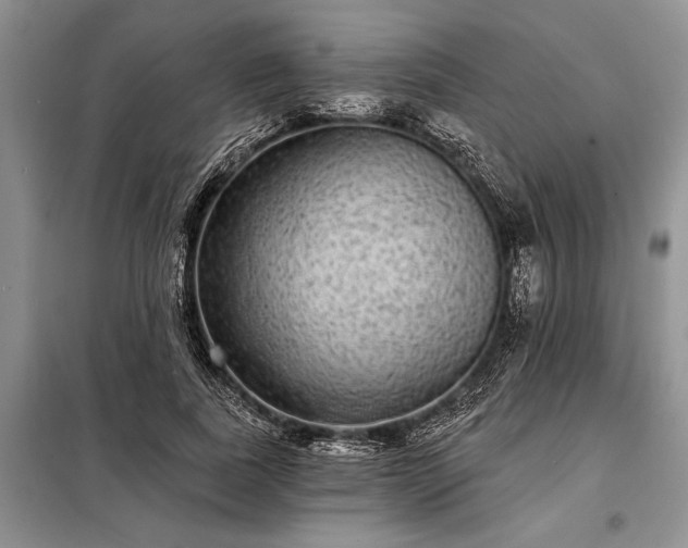 X0000098200739200805011146