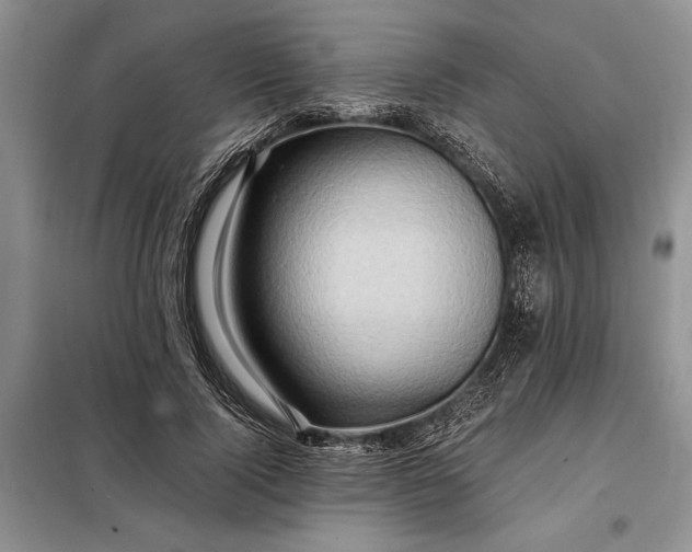 X0000098200740200805011146
