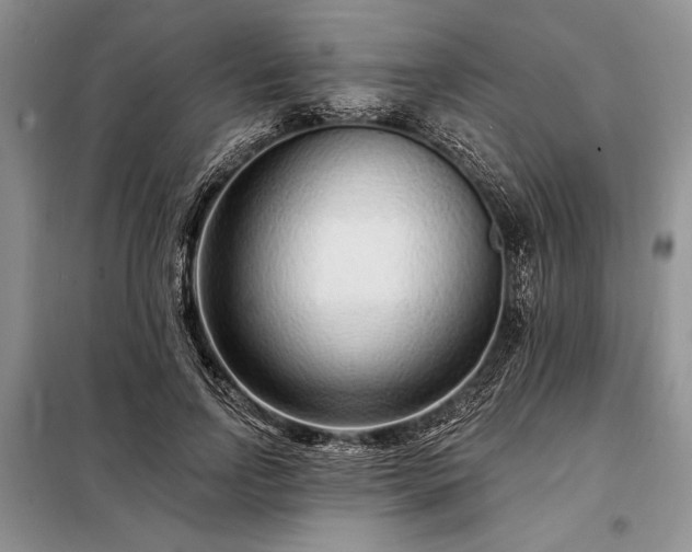 X0000098200742200805011146