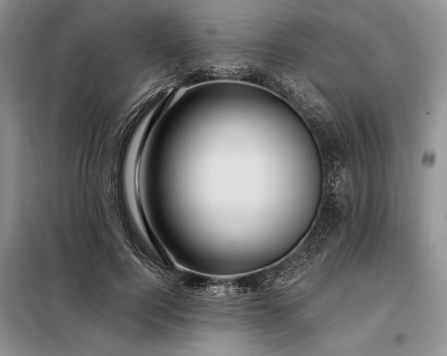 X0000098200744200805011146