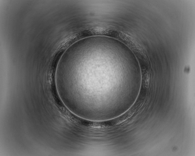 X0000098200746200805011146